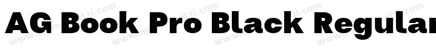 AG Book Pro Black Regular字体转换